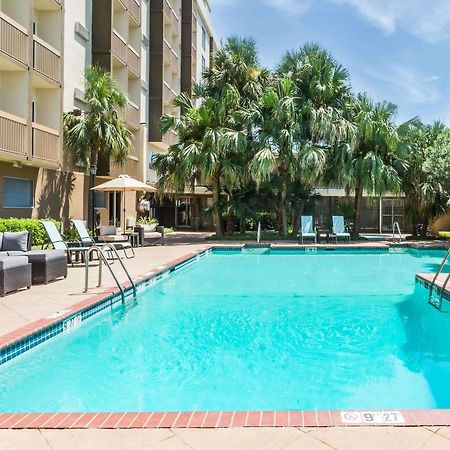 Отель Wyndham Garden New Orleans Airport Метейри Экстерьер фото